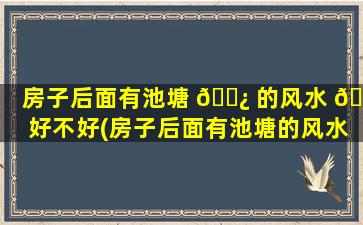 房子后面有池塘 🌿 的风水 🌲 好不好(房子后面有池塘的风水好不好怎么化解)